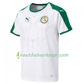 Senegal Thuisshirt WK voetbal 2018